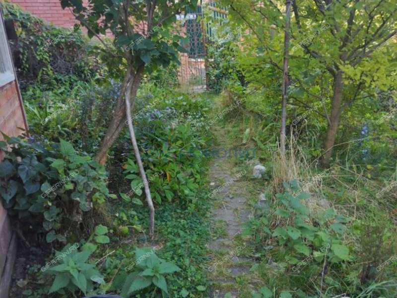 дом на Кооперативный переулок село Безводное