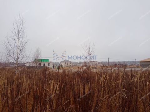 gorod-bogorodsk-bogorodskiy-municipalnyy-okrug фото