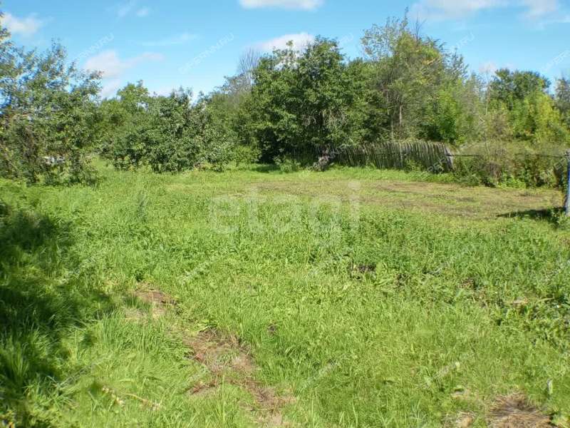 земельный участок 20,4 сотки улица Черкасский Порядок село Афанасьево