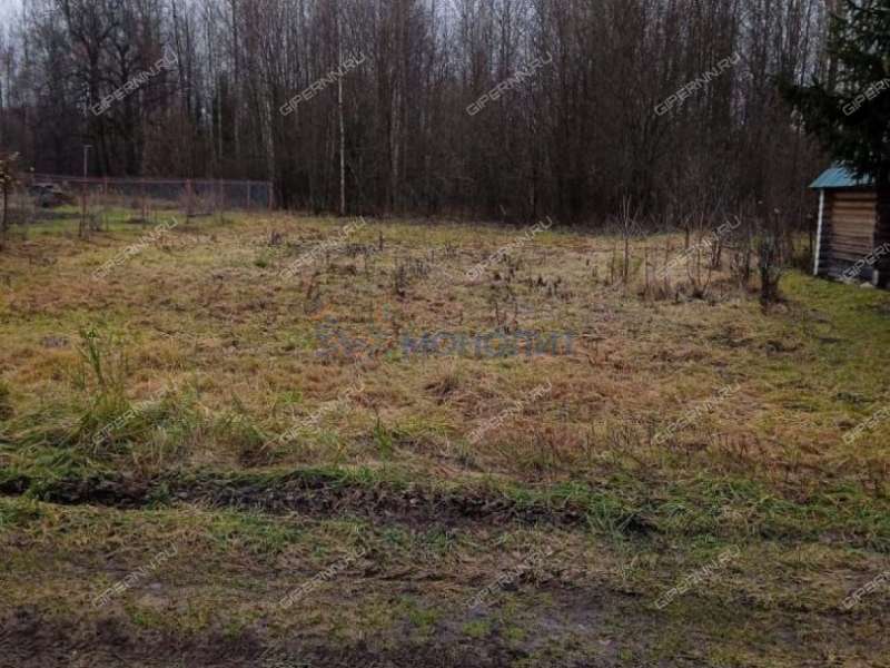 земельный участок 10 соток - деревня Тяжелухино