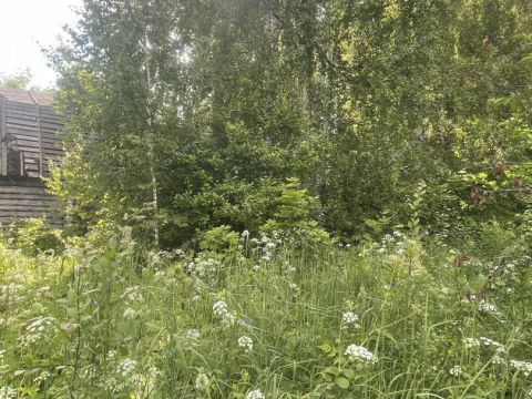 derevnya-klimotino-gorodskoy-okrug-chkalovsk фото
