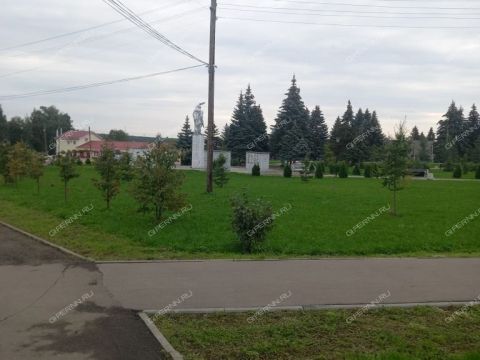 2-komnatnaya-derevnya-prokoshevo-kstovskiy-rayon фото