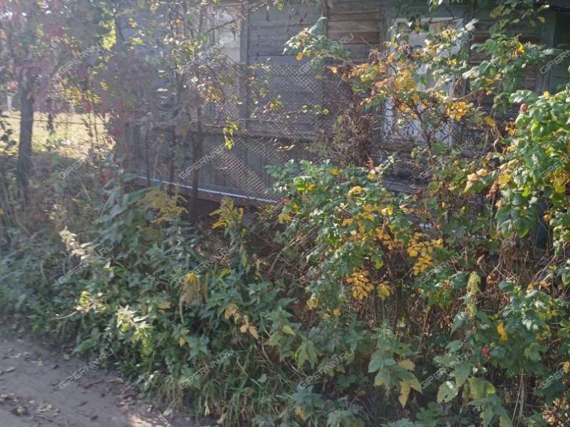 сад на улице Строкина