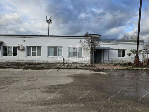 gorod-bor-gorodskoy-okrug-bor фото