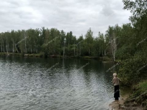 dacha-snt-n8-oao-gaz-gorodskoy-okrug-bor фото