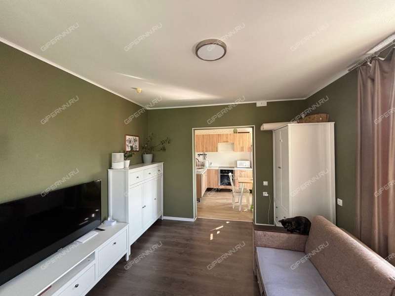 двухкомнатная квартира на Бурнаковской улице дом 61