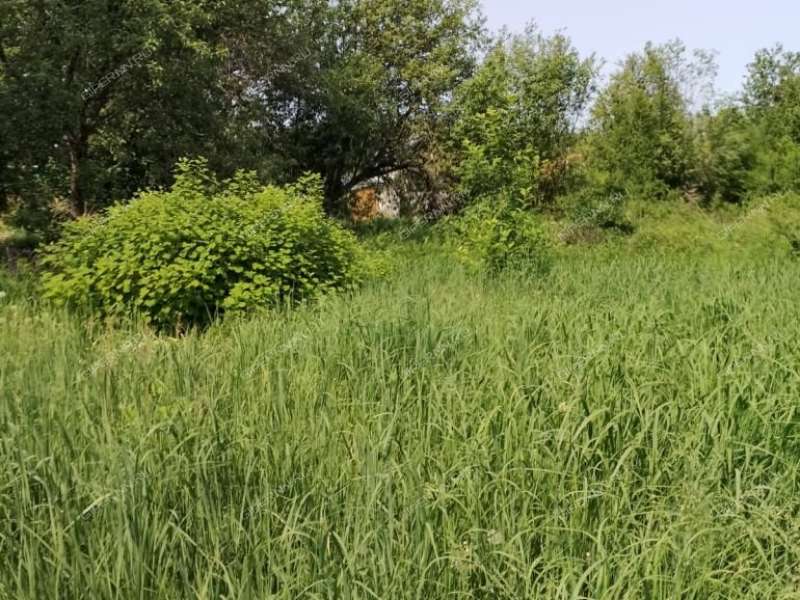 земельный участок 10,5 сотки СНТ Пыра-1 город Балахна