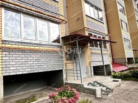 1-komnatnaya-derevnya-afonino-kstovskiy-rayon фото