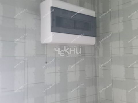 dom-derevnya-grishmanovo-kovriginskiy-selsovet-gorodeckiy-rayon фото