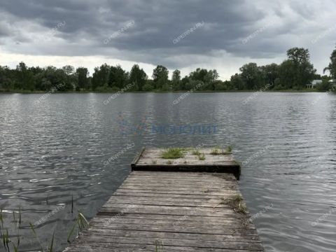 dom-derevnya-piyaichnoe-sosnovskiy-rayon фото