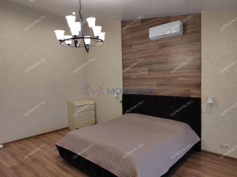 taunhaus-sl-verhnepecherskaya-d-118-1 фото