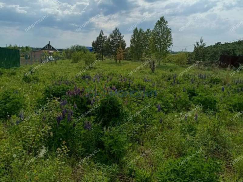 земельный участок 12 соток ул Ларина деревня Шумилово