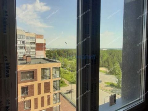 1-komnatnaya-gorod-dzerzhinsk-gorodskoy-okrug-dzerzhinsk фото