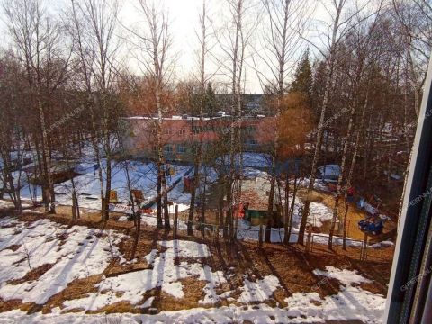 1-komnatnaya-gorod-bogorodsk-bogorodskiy-municipalnyy-okrug фото