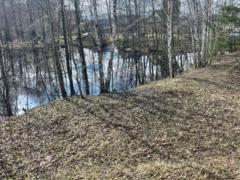 dom-rabochiy-poselok-lukino-balahninskiy-municipalnyy-okrug фото