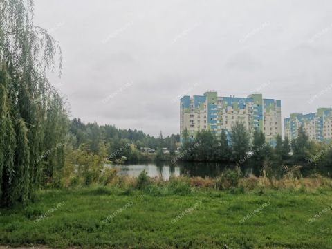 1-komnatnaya-ul-yanki-kupaly-d-44 фото