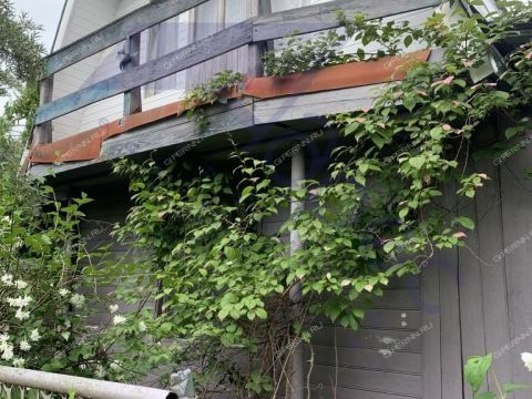 dacha-derevnya-rekshino-gorodskoy-okrug-bor фото