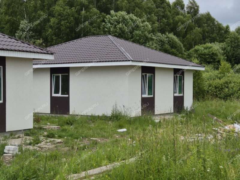 дом на Героя Демина ул. деревня Пруды