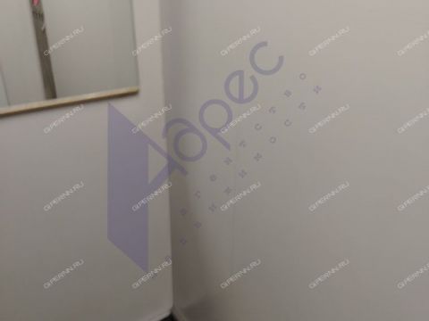 1-komnatnaya-derevnya-afonino-kstovskiy-rayon фото