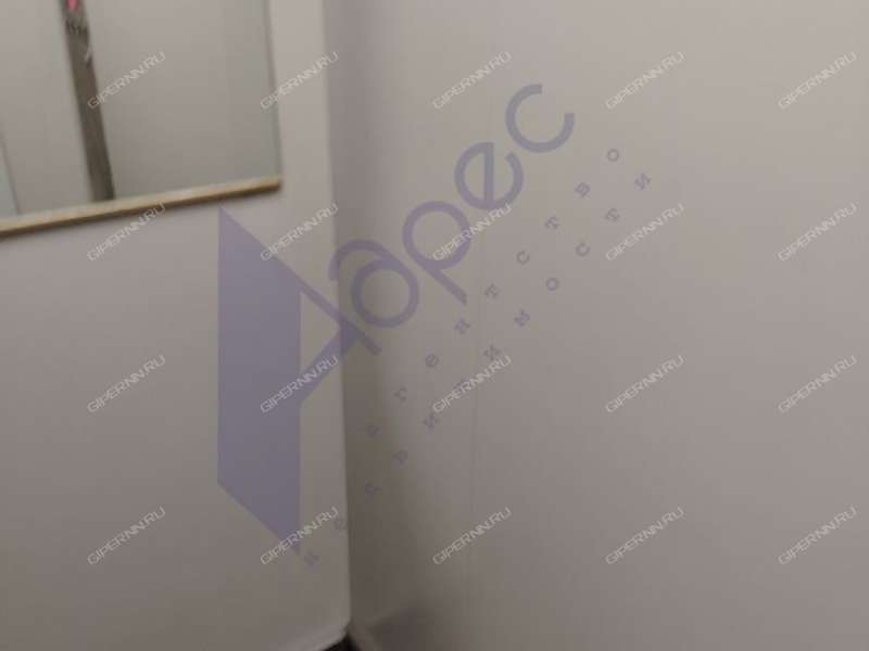 однокомнатная квартира на Академической улице дом 5 деревня Афонино