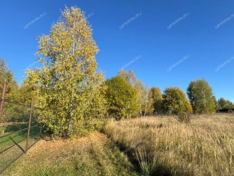 selo-raznezhe-vorotynskiy-gorodskoy-okrug фото