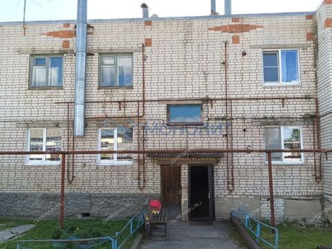 3-komnatnaya-derevnya-serkovo-gorodeckiy-rayon фото
