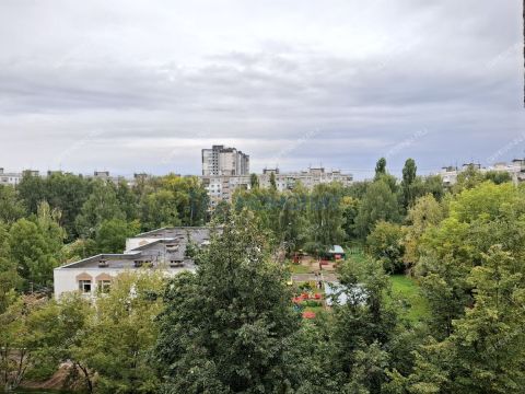 1-komnatnaya-ul-brinskogo-d-1 фото