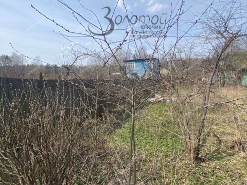 derevnya-syrohvatovo-gorodskoy-okrug-bor фото