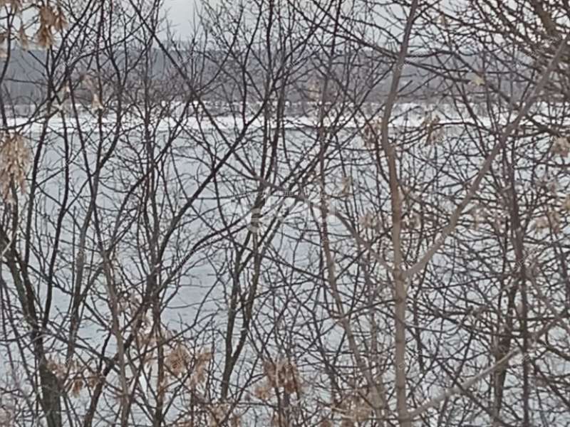 земельный участок 6,7 сотки улица Ворожейкина город Городец