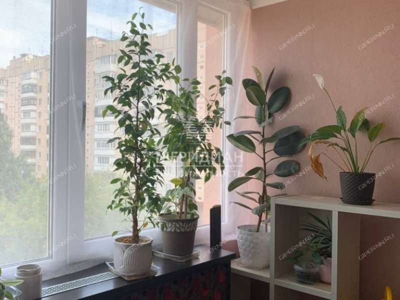 трёхкомнатная квартира на улице Братьев Игнатовых дом 1 к2