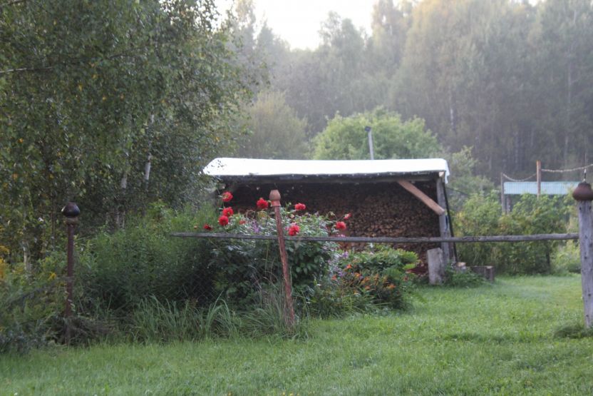 Фото: Ксения Ражева / gipernn.ru