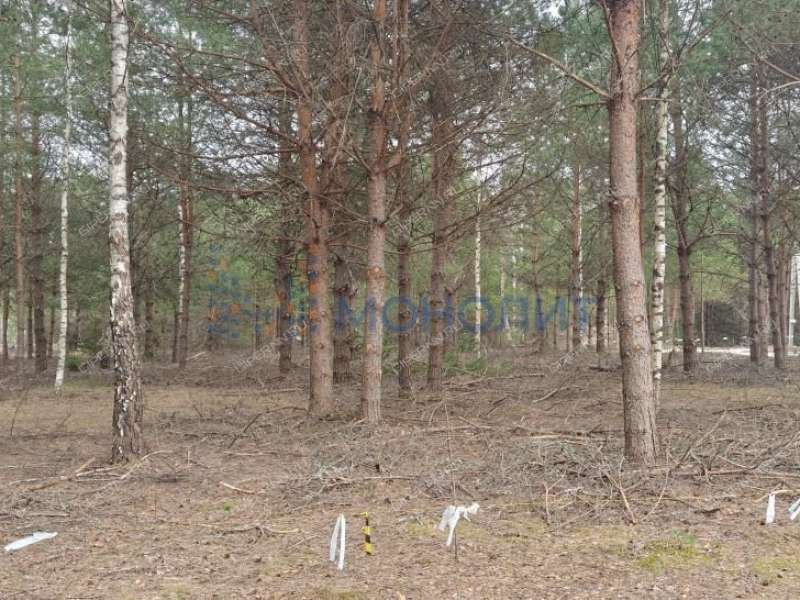 земельный участок 16 соток Ореховая улица Ивановское слобода