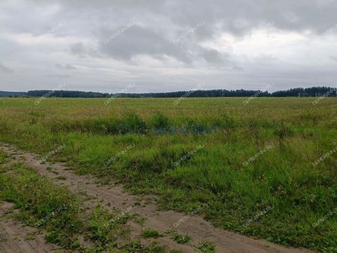 derevnya-timonino-bogorodskiy-municipalnyy-okrug фото