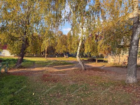 3-komnatnaya-poselok-krasnaya-gorka-vorotynskiy-gorodskoy-okrug фото