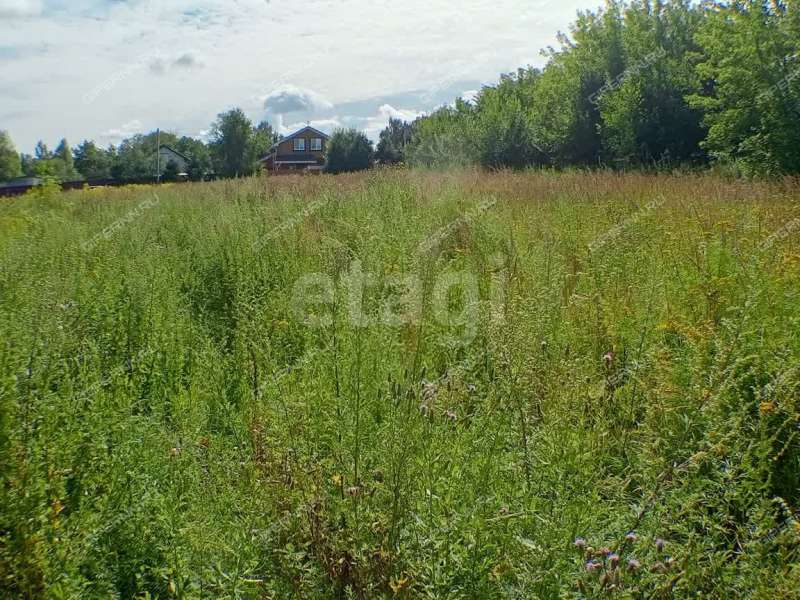 земельный участок 13,1 сотки улица Черкасский Порядок село Афанасьево