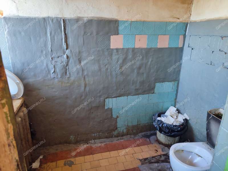 комната в доме 44 на улице Крупнова село Шелокша