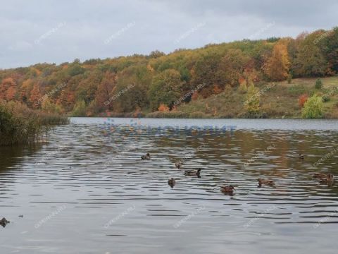 dom-pamyat-parizhskoy-kommuny-sp-gorodskoy-okrug-bor фото