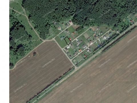 selo-efimevo-bogorodskiy-municipalnyy-okrug фото