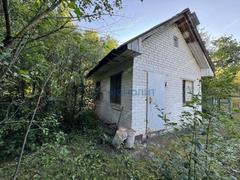 dacha фото