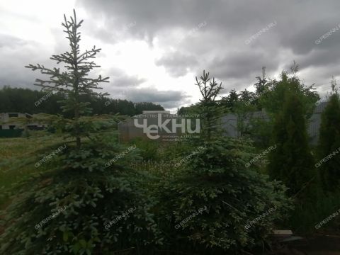 dom-tsn-chistye-klyuchi-dalnekonstantinovskiy-rayon фото
