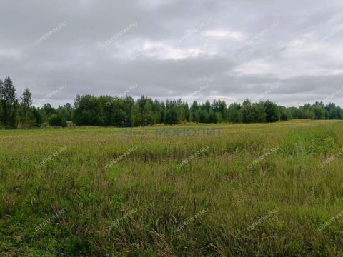 derevnya-timonino-bogorodskiy-municipalnyy-okrug фото