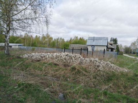derevnya-ilinskoe-gorodskoy-okrug-bor фото