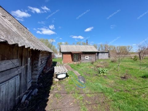 dom-selo-maresevo-pochinkovskiy-municipalnyy-okrug фото