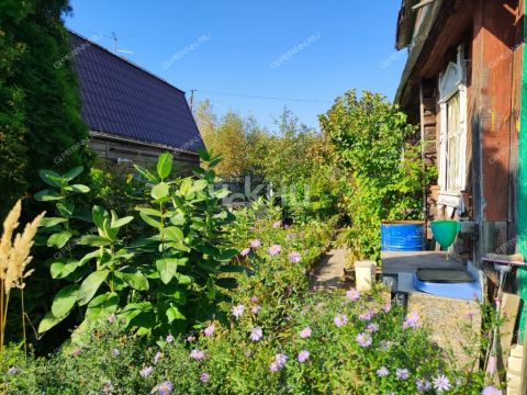 dacha-gorod-balahna-balahninskiy-municipalnyy-okrug фото
