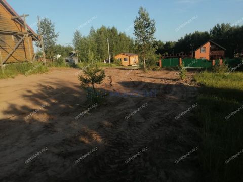 derevnya-orinkino-bogorodskiy-municipalnyy-okrug фото