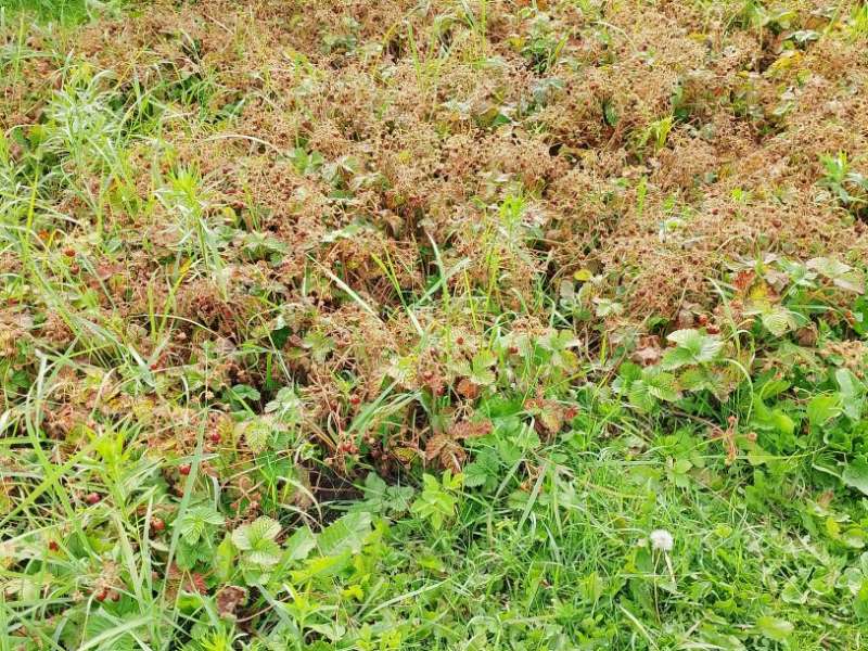 дом на  Первомайский