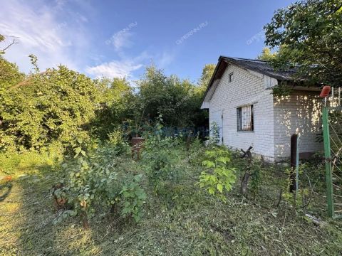 dacha фото