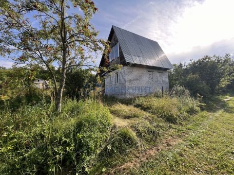 sad-berezhok-derevnya-shoniha-ter-snt-bogorodskiy-municipalnyy-okrug фото