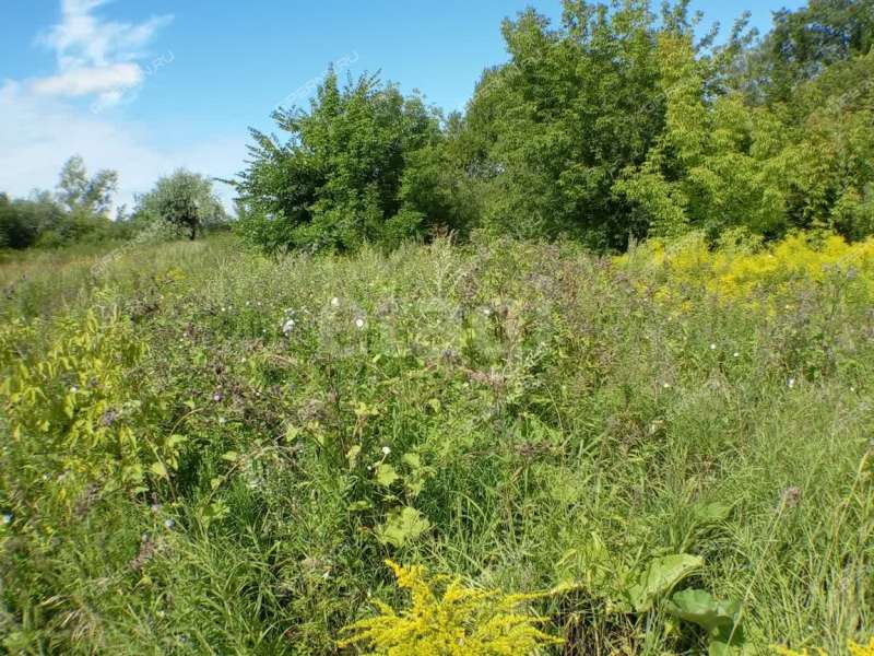 земельный участок 13,1 сотки улица Черкасский Порядок село Афанасьево