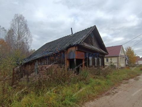 derevnya-pobegayki-gorodskoy-okrug-bor фото